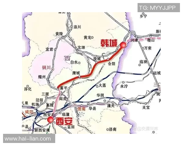 西安篮球队速度飙升创历史新高引发全城热议